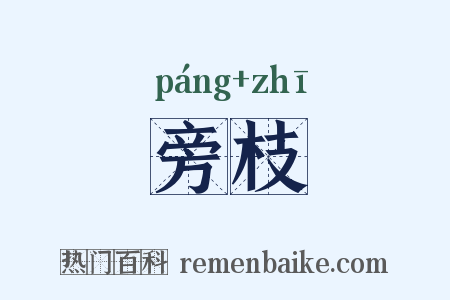 旁枝是什么意思的图片